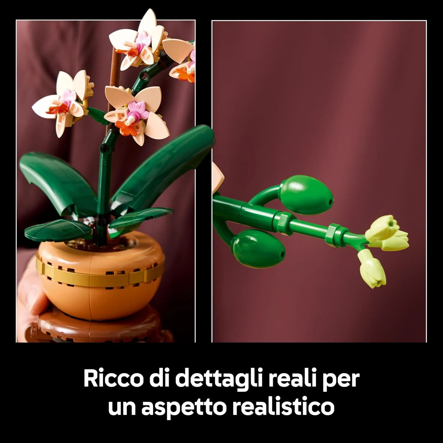 Immagine prodotto 2