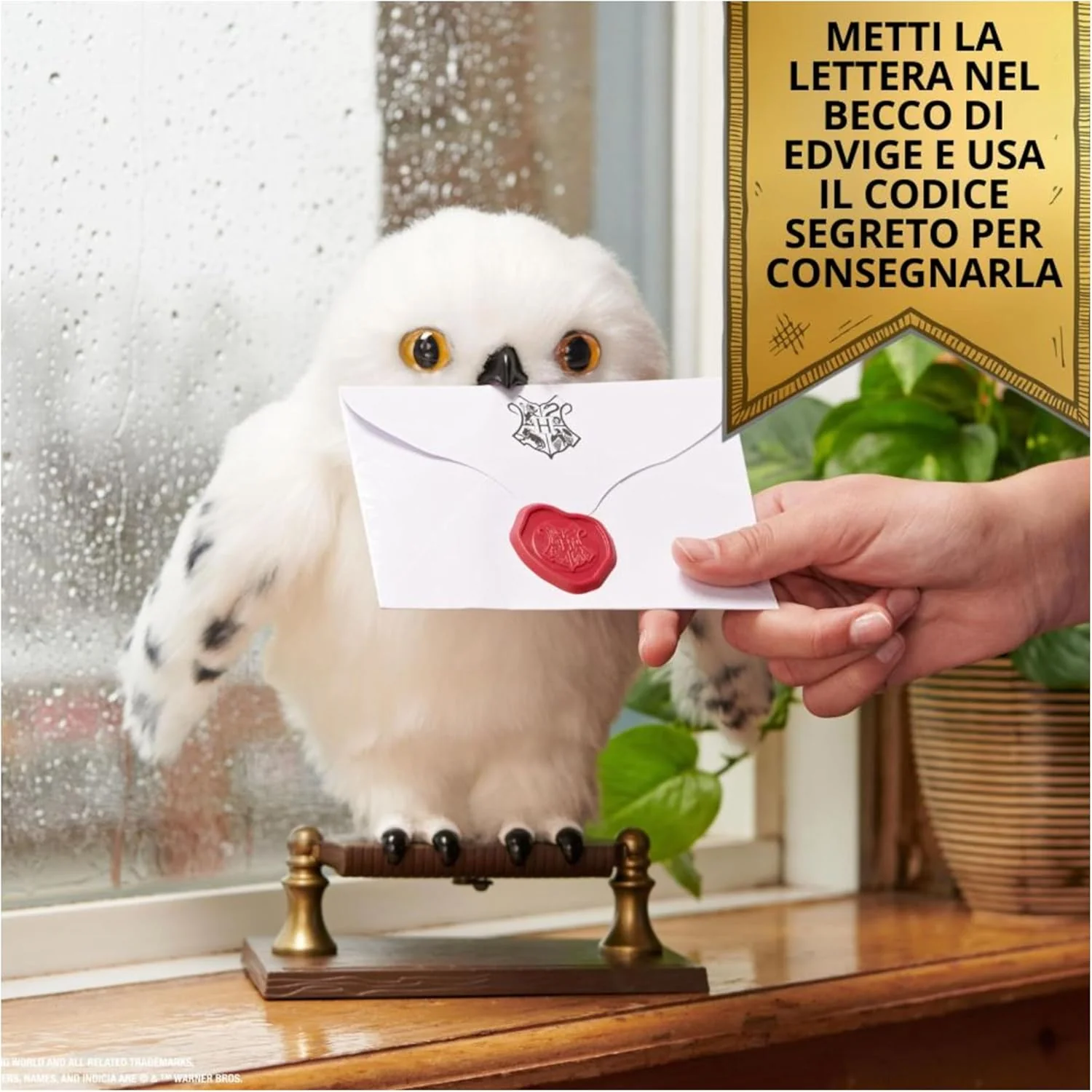 Immagine prodotto 2